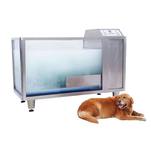 Ang Ultimate 2026 na Gabay sa Pet Grooming Tubs: Mga Trend sa Market at Mga Diskarte sa Pagbili